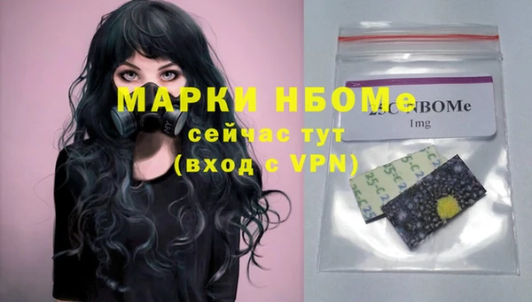 спиды Бородино