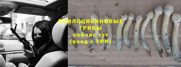 твердый Бугульма
