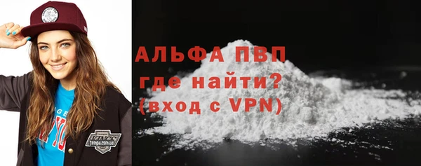 спиды Бородино