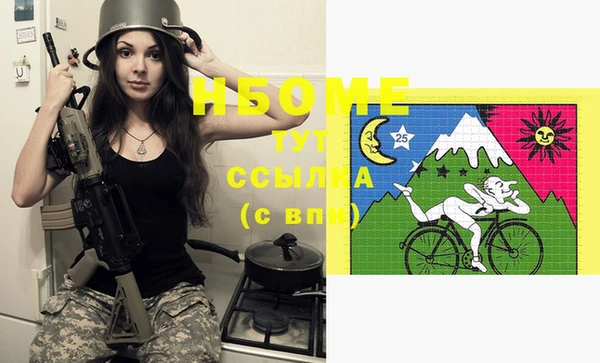 спиды Бородино