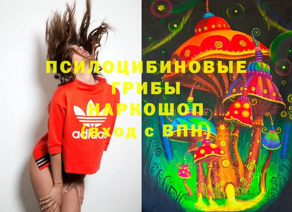 спиды Бородино