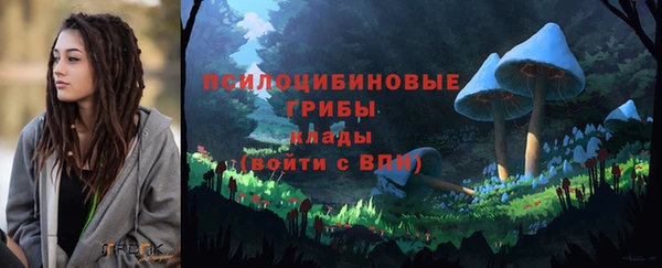 спиды Бородино
