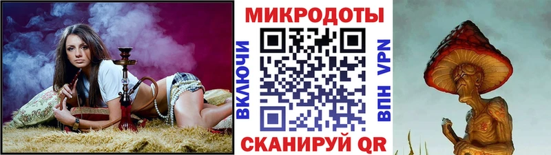 цена   Невель  Псилоцибиновые грибы Psilocybine cubensis 